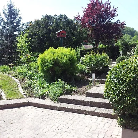 Gite Bellevue Breitenbach Exterior foto