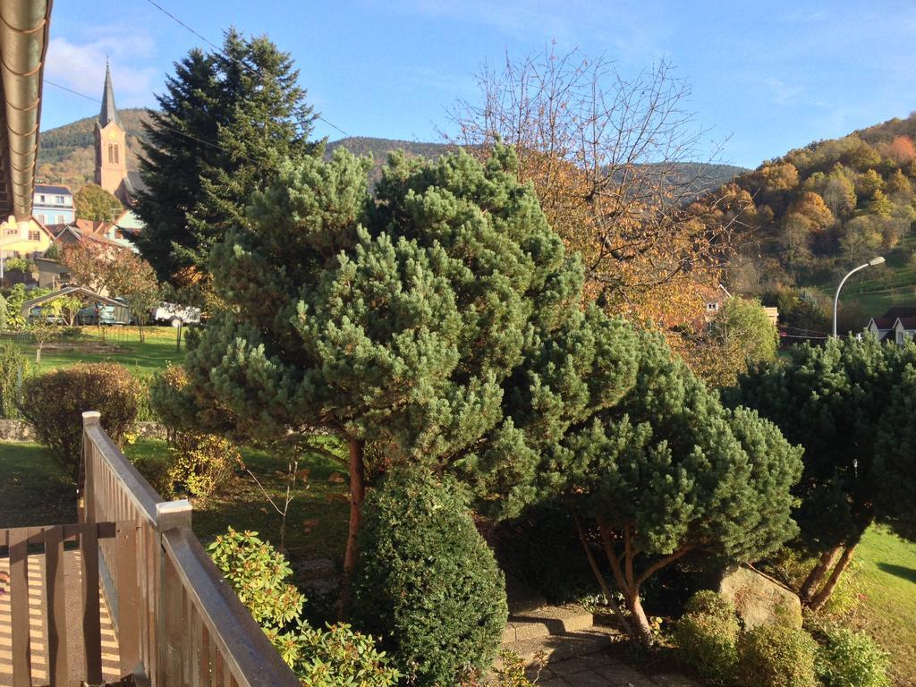 Bellevue Holiday home Breitenbach