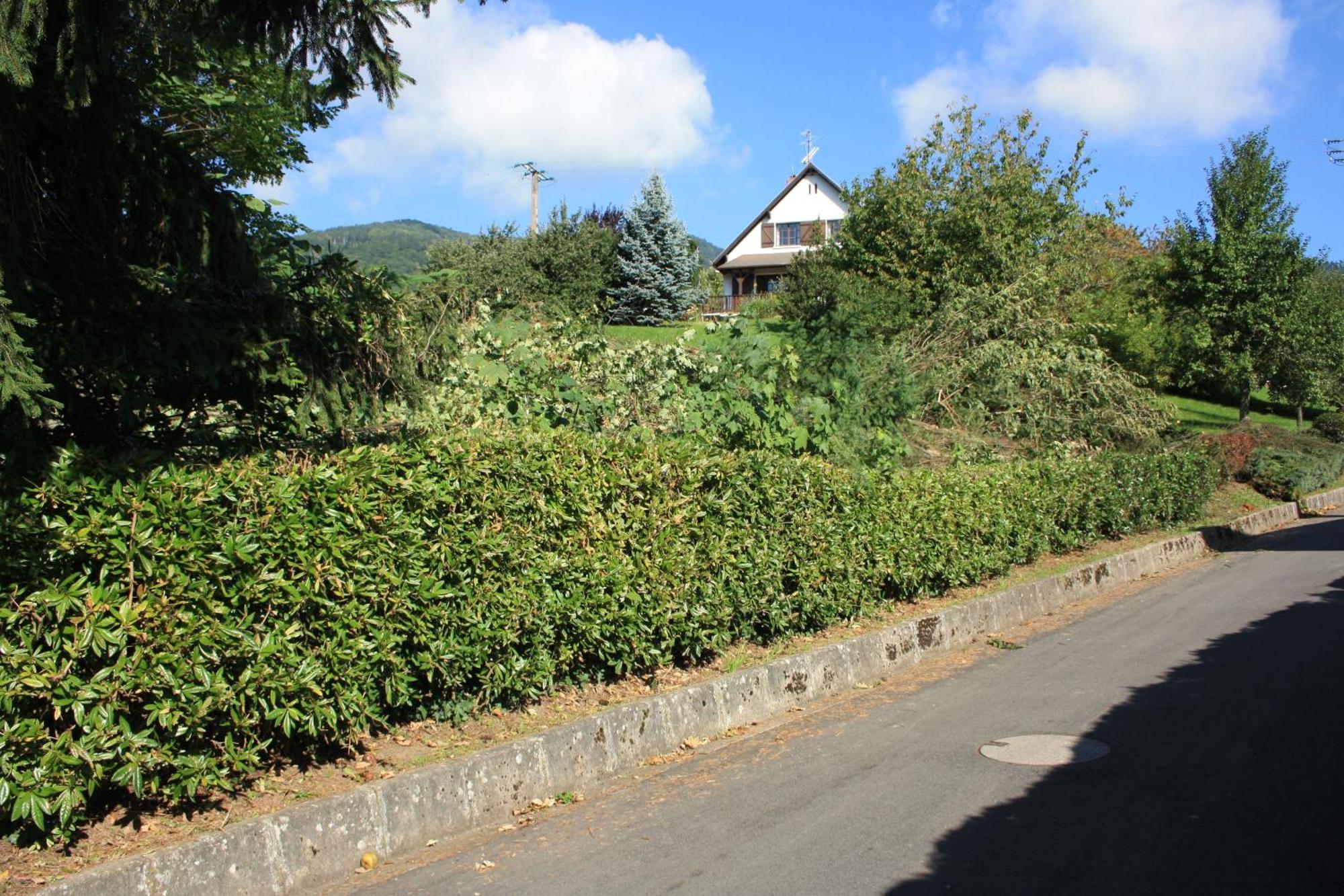 Bellevue Holiday home *