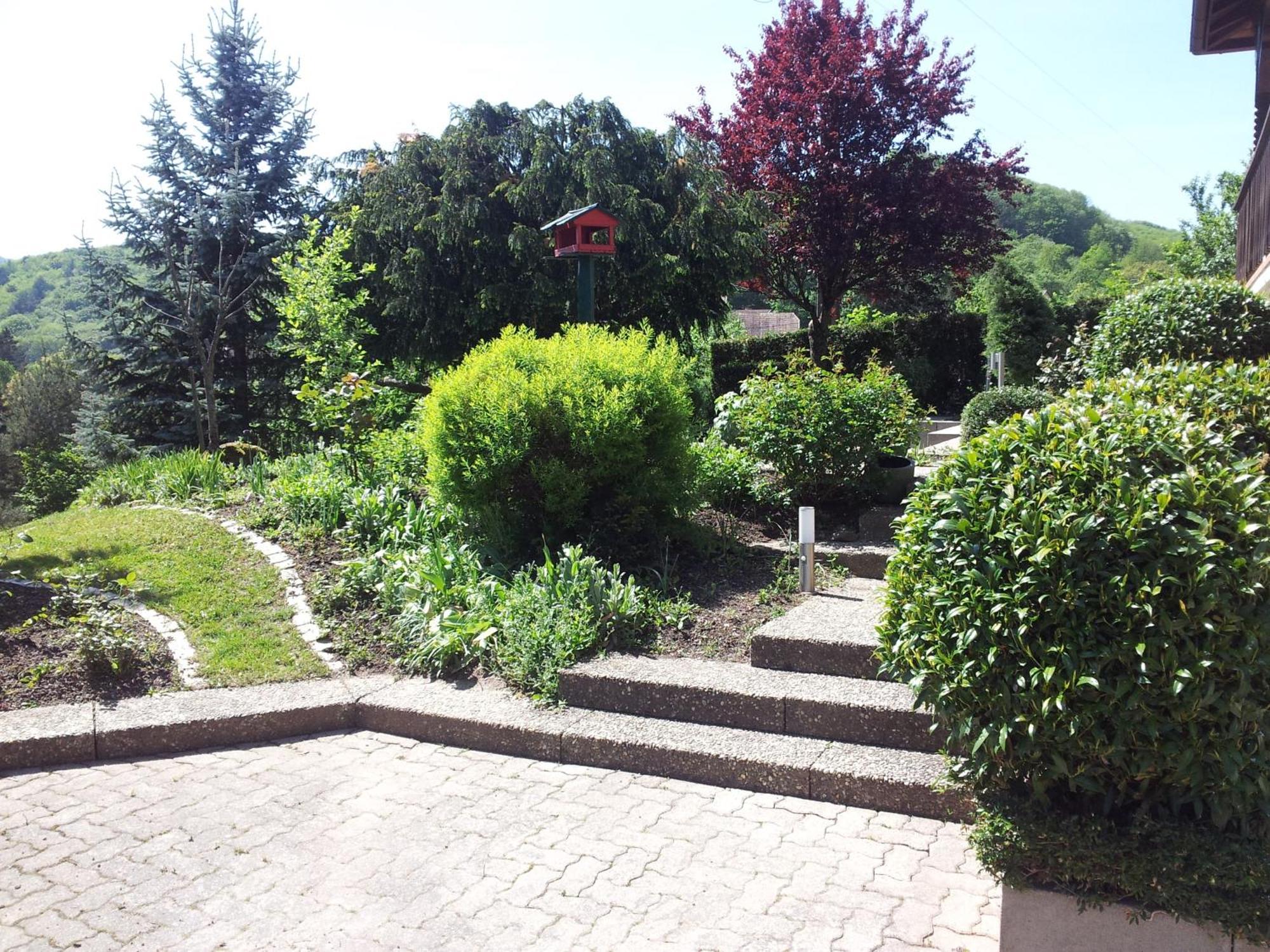 Bellevue Holiday home Breitenbach