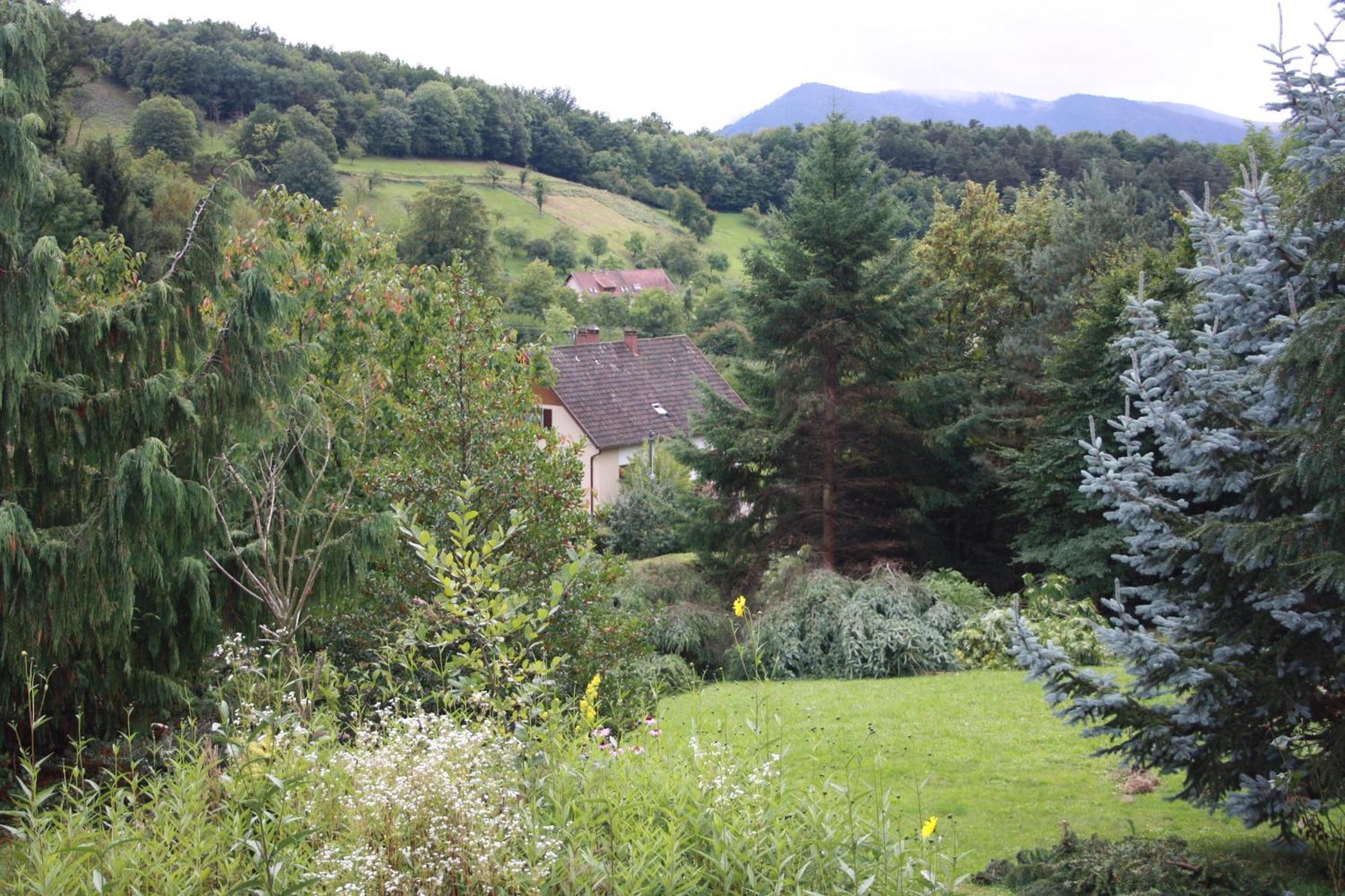 Holiday home Bellevue Breitenbach